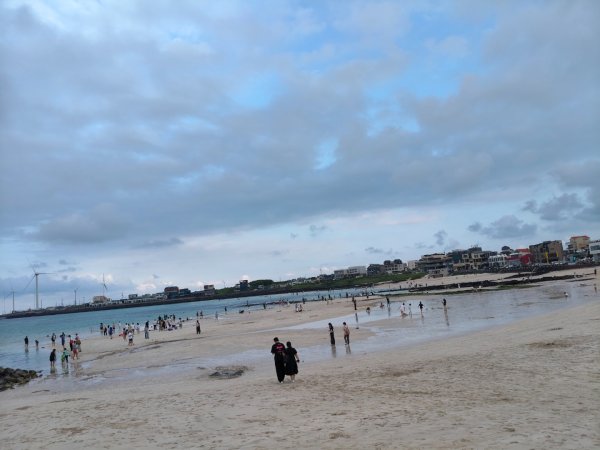 韓國濟州島：月汀里2912881