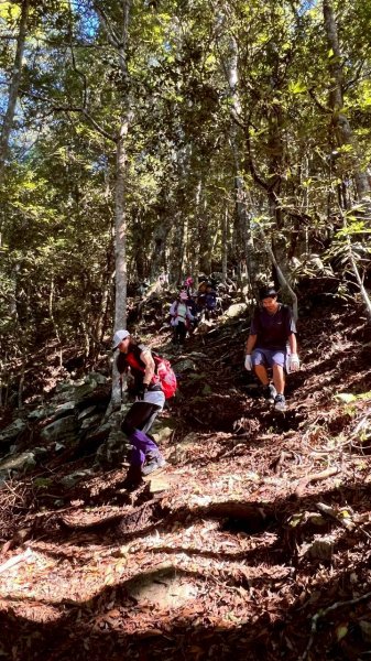 🌈9/21（日）屋東縱走（大雪山進-谷關大道院出）✨FB：熊熊趴爬走 🌈2892529
