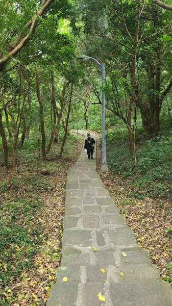 2026-0116 大屯三山_貴子坑_北投2984785