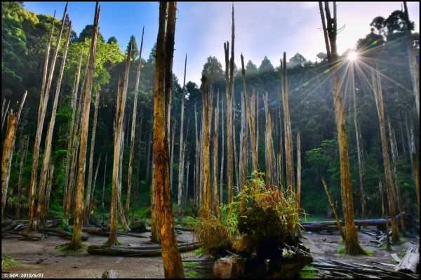 一座鳥山 ~ 金柑樹山 (小百岳)344578