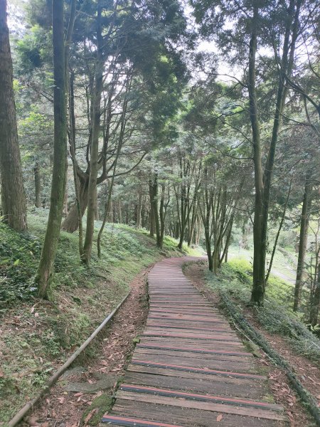 東眼山(小百岳022 H1212M)2021-05-071471807