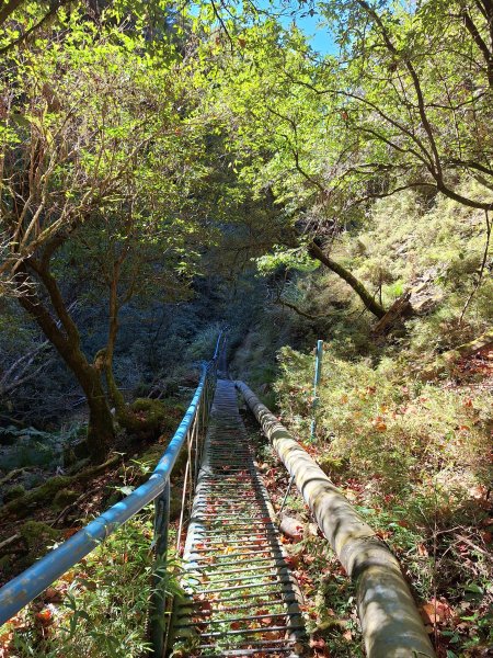 石山引水道202512112959572