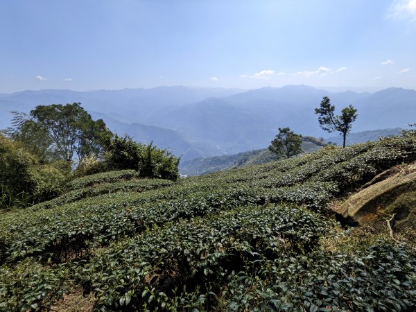 雲嘉大尖山1638361