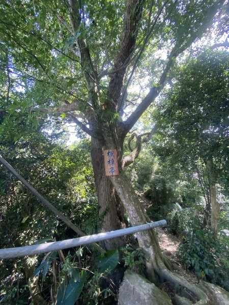 2025微笑山線大縱走尋寶集章任務-Ep.03【鳶山山系】鳶山彩壁段2893661