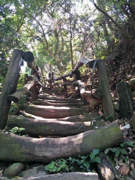 大坑4號步道&頭嵙山374858