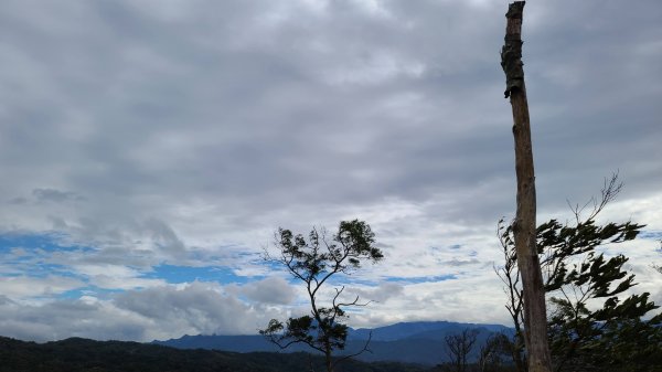 2020-1130飛鳳山O型1193899