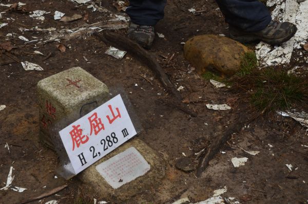 2018.01 水樣森林+鹿屈山+眠月神木269538