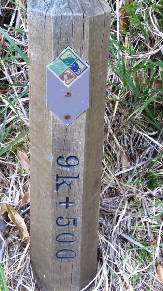 超越自我奇萊南華行24217