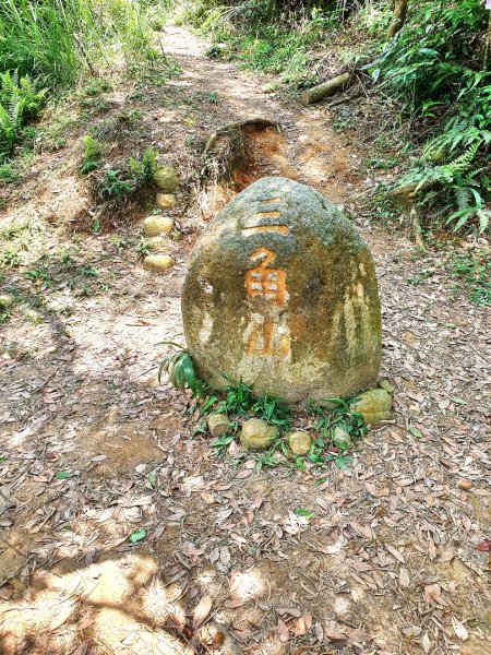 鳶嘴山，醜崠山，長壽山，榛山步道，三員縱走，文林古道，高梘頭山，糖塔山，鐘樓古道1691614