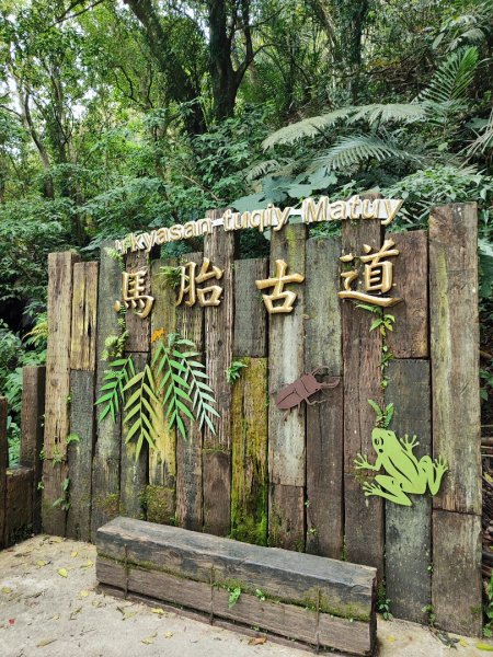 馬胎南坪古道2764754