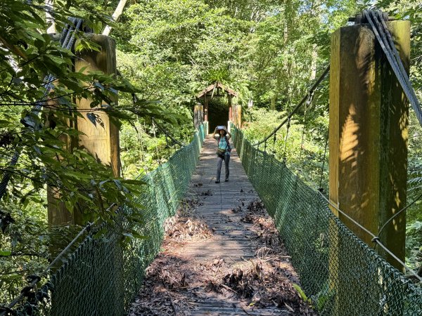 竹坑溪步道 202506282827144