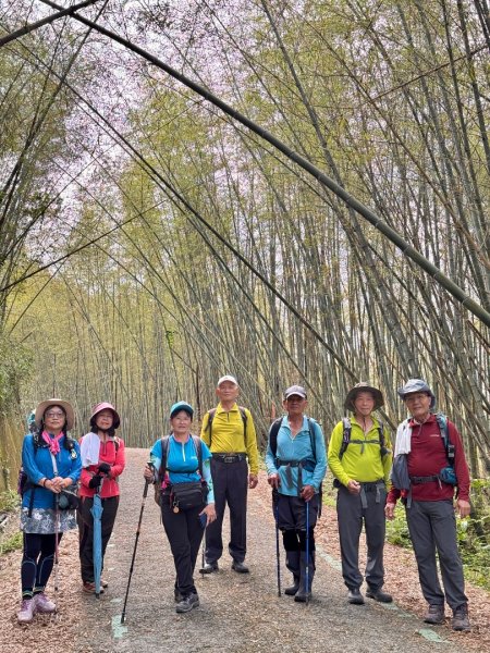 鳳凰谷步道走凍頂麒麟山2770428