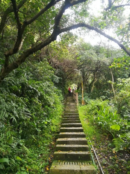 與母親爬山—虎山步道群/探訪秘境黃蟬園895164