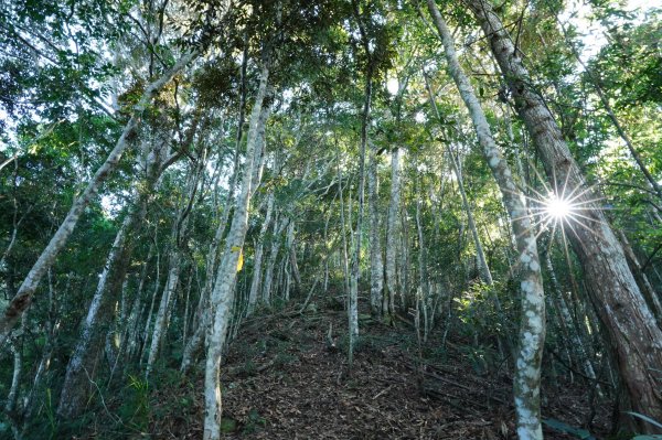 新竹 五峰 清泉山、民都有山2633698