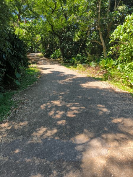 20250822微笑山線205高地段2868569