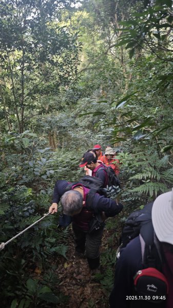 2025-1130 新店三(二)潭縱走2966904