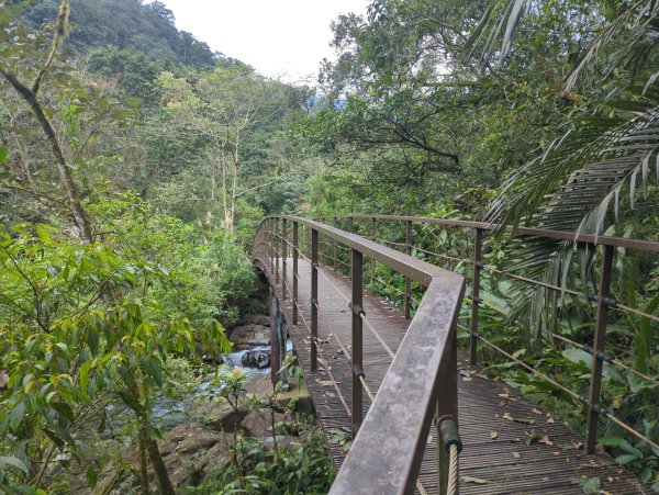 2025.01.10－松羅國家步道2981173