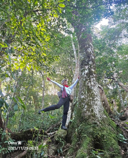 逆走逐鹿卡保環型路線全段全紀錄2949848