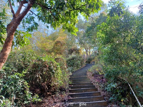 【台中潭子】蜿蜒步道賞風景。 No40小百岳~聚興山、新田登山步道2425973