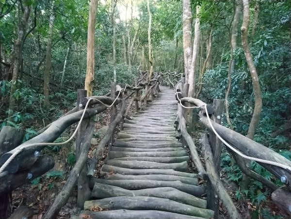 大坑步道全包一起登( 2 3維修)747625