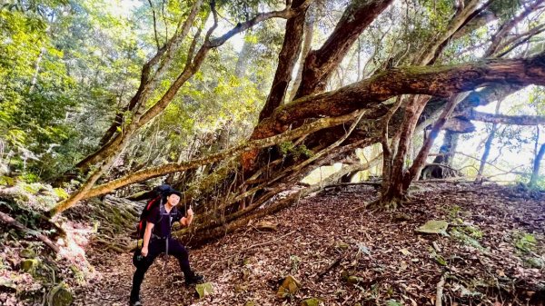 🌈11/22（六）-23（日）霞喀羅古道全段✨FB：熊熊趴爬走🌈2944591