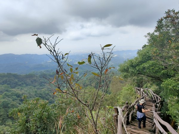 頭嵙山(小百岳041 H859M)2021-10-231496817