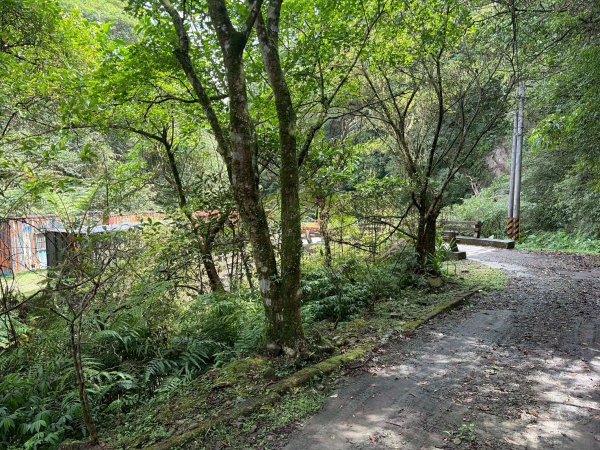 虎豹雙棲越野17K複習跑-part23072580