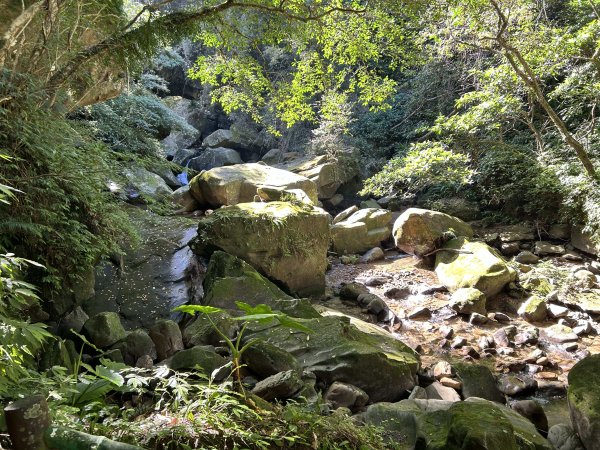 暖東峽谷步道2949296