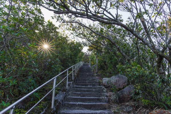 [台北]大崙頭山、碧山巖、忠勇山2746213