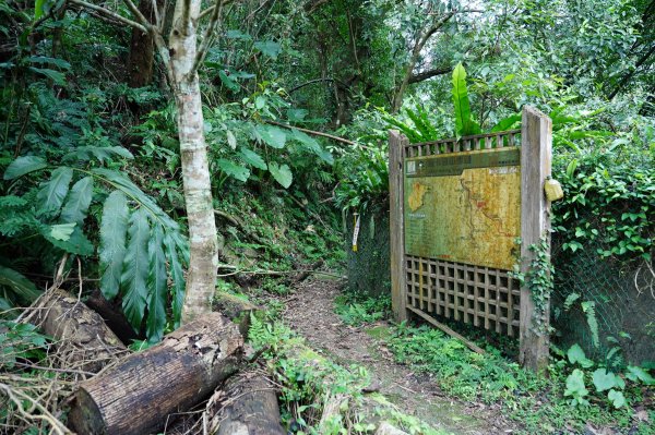 新北 烏來 大刀山、拉樸山、阿玉溪山2704940