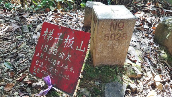 20241127特富野古道+梯子板山2659346