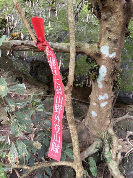 20251018台南 崁馬鞍部啟登崁頭山2920740