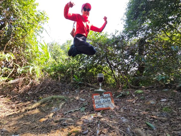 粗坑口尖.碇內尖.龍門山O型2985714