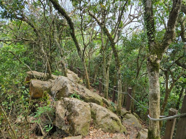 龍麟山步道2748683