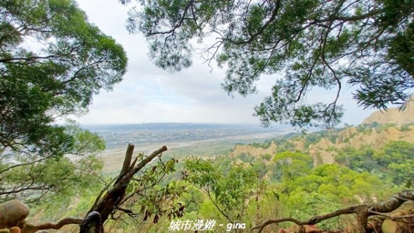 【苗栗三義】台灣百大必訪步道。 火炎山、南鞍古道O繞x火炎山下花海2954158