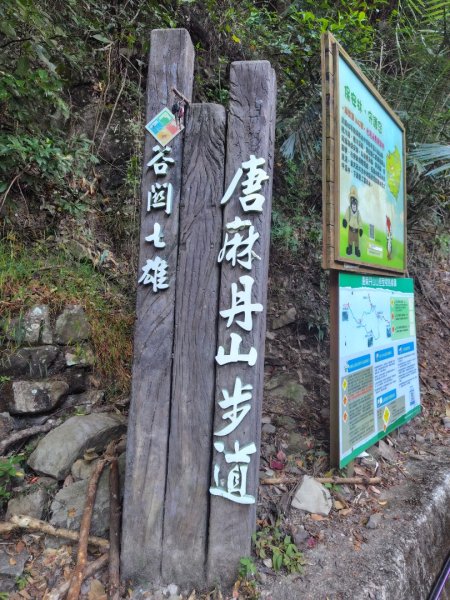 唐麻丹山 蝴蝶谷2918913