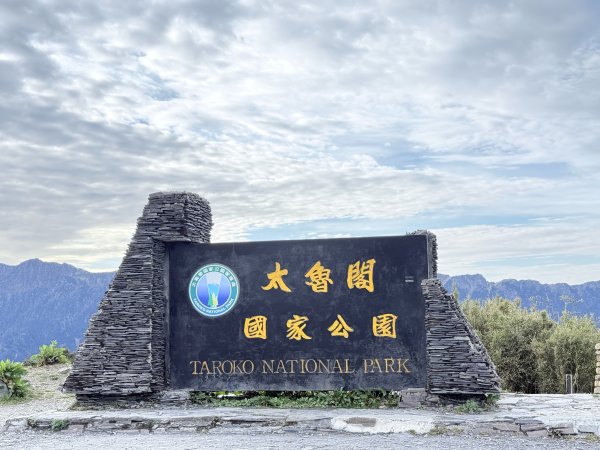 小奇萊賞杜鵑趣--與高山杜鵑的約定    2026.4.283044328