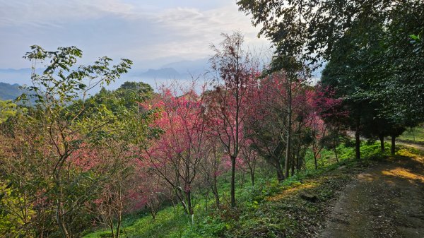 出關古道：十份崠段2700628