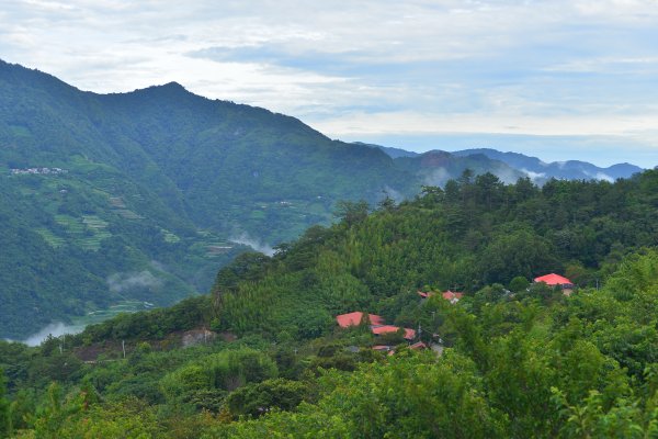 司馬庫斯巨木步道2861075