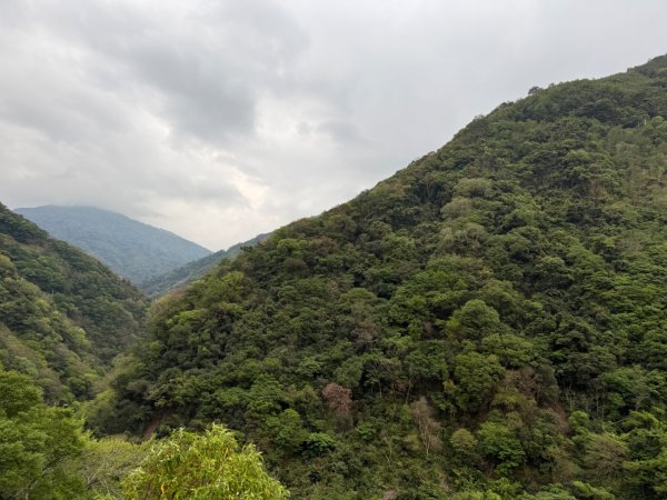 1150403塔曼山3035726