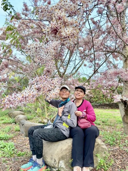 楠西悠遊(鹿陶洋.爐芝潭山)  2026.3.263027451