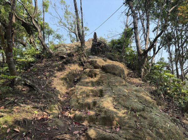 [微笑山線_第八段] 2026_0411 二格山系_炙子頭山3035094