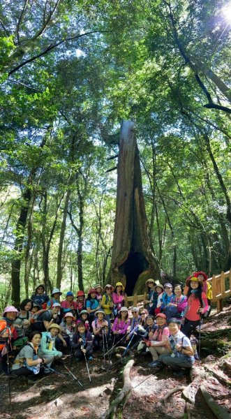 鎮西堡、司馬庫司巨木群-探訪森林感受大地之母蘊育雄偉1348607