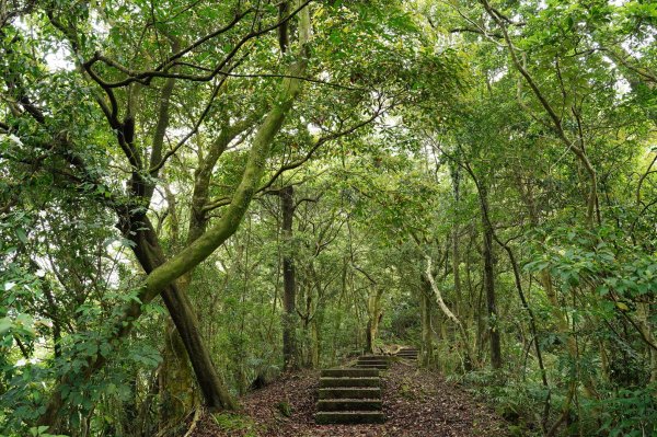 新北 石碇 皇帝殿西峰、串空湖山2479161