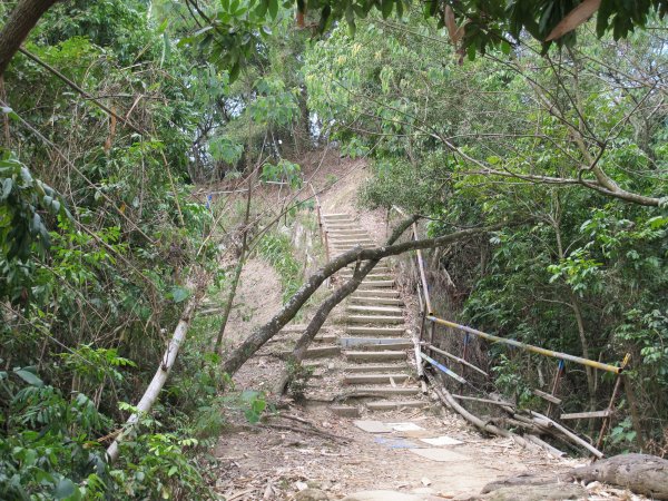 南觀音山步道955735