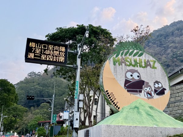 完登新南橫三星-馬馬宇頓山   2026.3.273027516