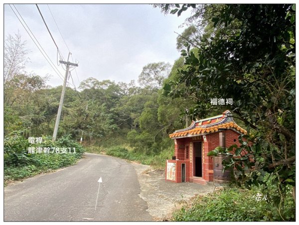 公司寮山 ( 苗栗、後龍 )3006158