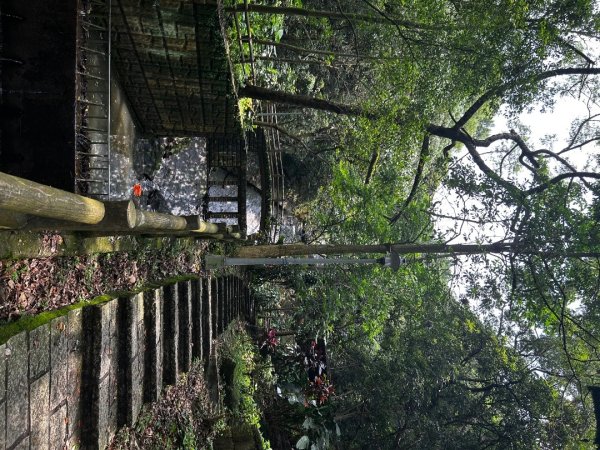 內湖金面山2811748