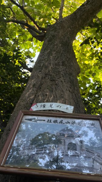 旗尾山、美濃湖3130919