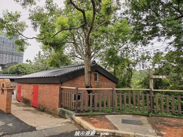 【台中龍井/大肚】竹坑南寮登山步道x瑞井登山步道O繞3031263